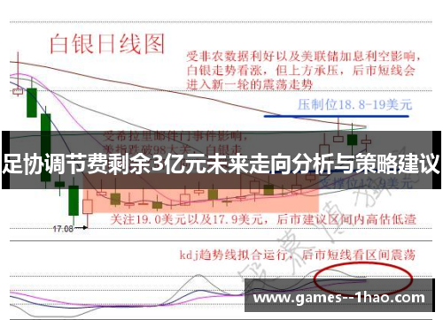 足协调节费剩余3亿元未来走向分析与策略建议