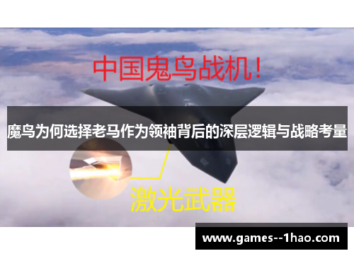 魔鸟为何选择老马作为领袖背后的深层逻辑与战略考量